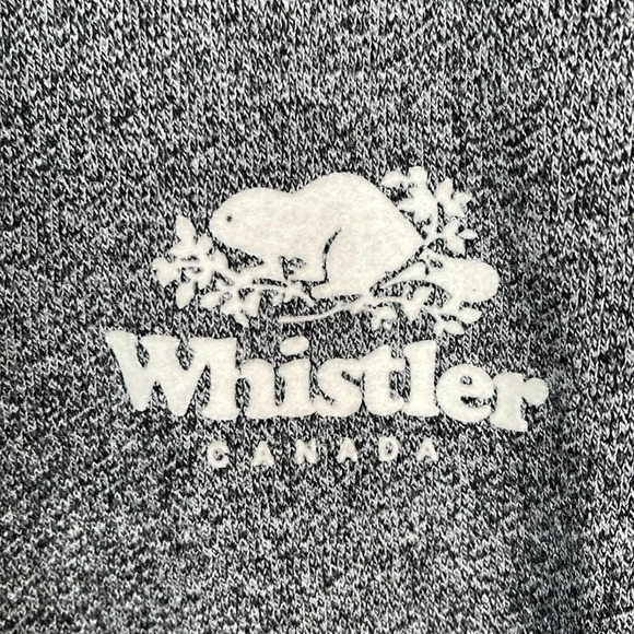 ROOTS Canada Heather Grey Whistler Quarter Zip Sweater Sweatshirt Gorpcore S - Picture 4 of 14